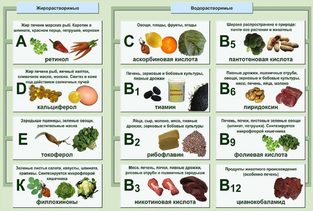 витамины жирорастворимые водорастворимые
