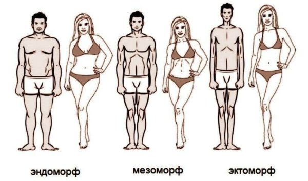 Мезоморф